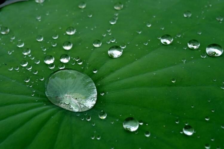 非氟防水劑